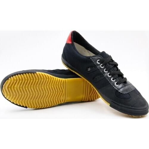 USHINE EU34-46 Canvas Sports Volleyball Training Wushu KungFu Running Students Net ShuangXing Shoes Men Women