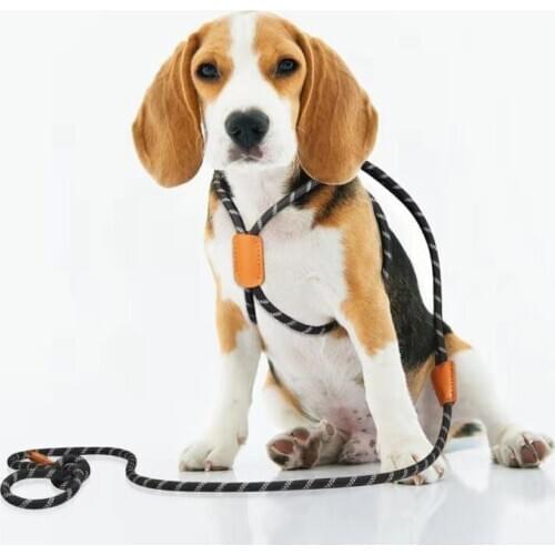 Nylon Pet Dog Harness No Pull Adjustable Dog Leash Vest Classic Running Leash Strap Belt for Small and Medium Dogs dog harness