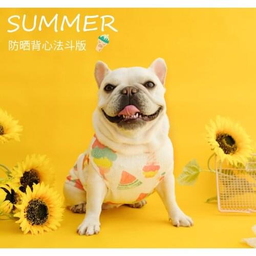 Puppy Dog Spring And Summer Feet Clothes Small Dog Pet Thin Summer Fighting Sun Protection French Bulldog Clothes Dog Clothing