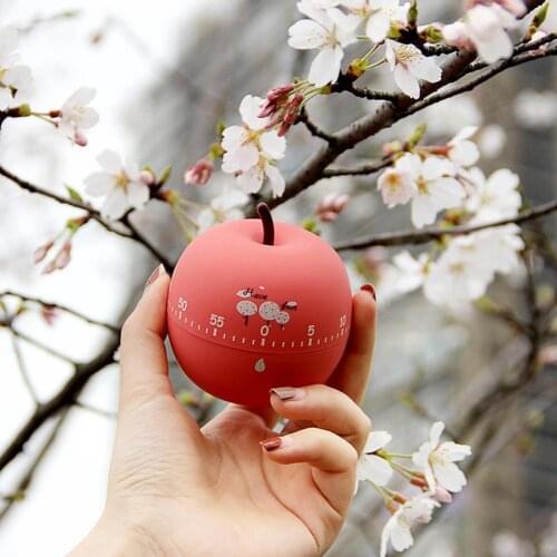 Kitchen Timer Fruit Plastic Mechanical Cooking Timer Reminder 360 Degree Rotating Adjustment Mechanical Timer Alarm for Kitchen