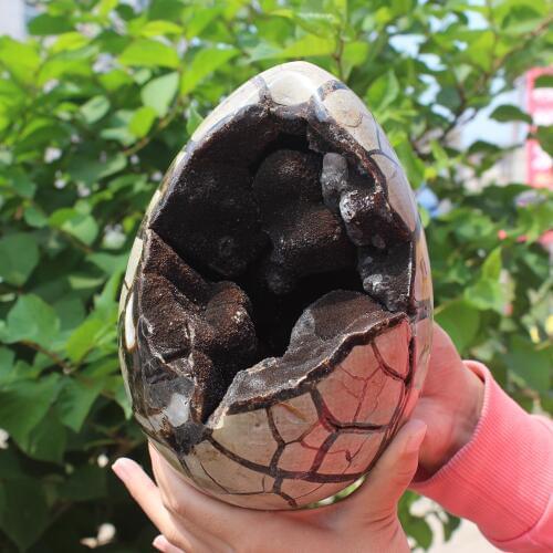 Natural curvature of the furnishing articles Turtle grain stone egg Ball Septarian nodule Fossil Crystal Healing quartz