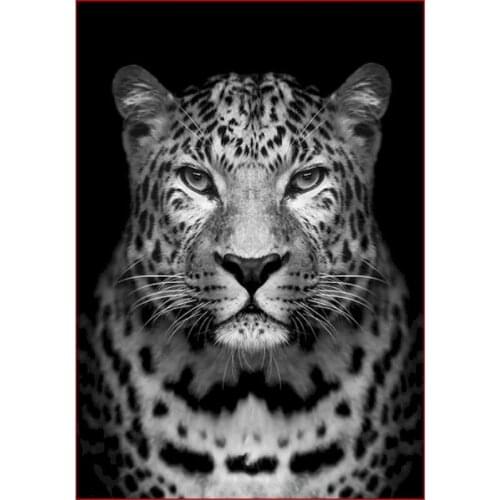 Acrylic Paint By Numbers Leopard Animal On Canvas Framed 60x75 DIY Craft For Adults Kits Picture Coloring By Number Decoration