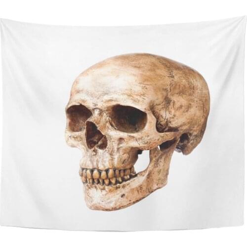 Tapestry Head Human Skull Anatomy Bone Cranium Dead Death Tapestries Wall Hanging for Living Room Bedroom Dorm