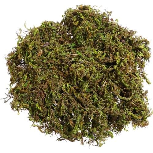 WINOMO 3 Packs Artificial Grass Moss Fake Simulation Decor Green Plants Faux Grass Moss Lichen Garden Home Patio Decor A20