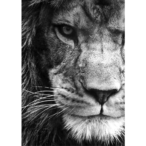 Tiger Lion Wolf Owl Pre-Printed 11CT Cross-Stitch DIY Embroidery Kit DMC Threads Sewing Handmade Handicraft Handiwork Sales