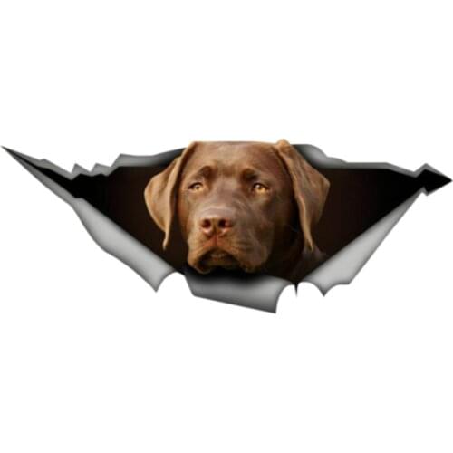 Dawasaru Labrador Decal Chocolate Retriever Decal Car Sticker 3D Graphic Vinyl Decal Car Window Laptop Car Sticker,13cm*5cm