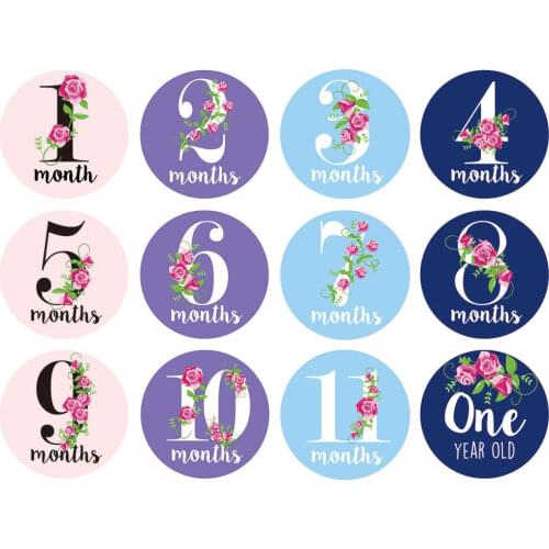 Baby Milestone Photo Cards - Set of 12 Photo Cards To Capture Your Babys First Year Memorable Moments Baby Memorial Gift