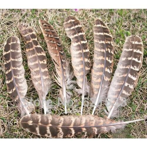 100PCS/LOT 13-15cm Wing Feathers - NATURAL Hen Ringneck Pheasant Wing Round Quills Feather for Home Decoration, Projects