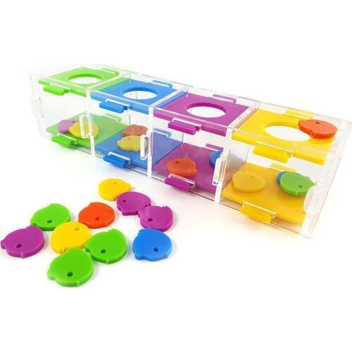 Parrot Intelligence Color Separation Coin Box for Parrot Macaw African Greys Cockatoo Eclectus Budgie t Intelligence Training