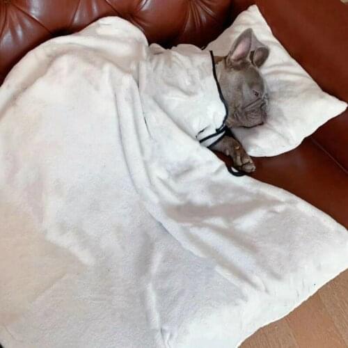 Dog Clothes Small Dogs Pajamas Set French Bulldog Designer Sleepwear for Chihuahua Blankets Yorkie Pet Clothing Homewear VLPJ