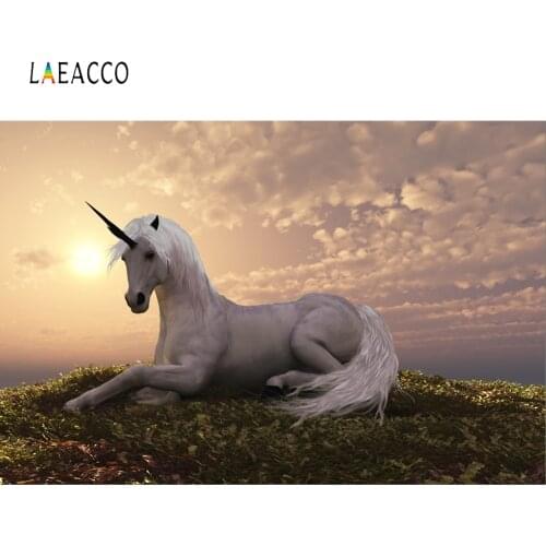 Laeacco Unicorn Photophone Sunset Clouds Grassland Photo Backdrops Baby Birthday Portrait Photography Background Child Photocall