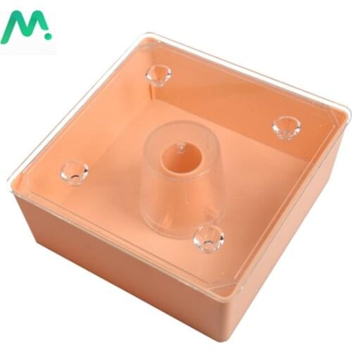 European Style Square Bee Feeder Waterer Around 2 Litres Capacity Plastic Beekeeping Feeder With Transparent Cover For Apiary