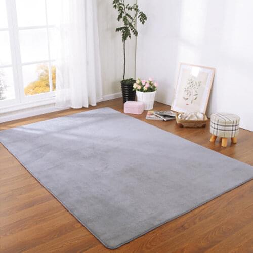 Coral Velvet Carpet Solid Color Water Absorption Sofa Carpet Memory Foam for Bedroom Living Room Children Rug Yoga Mats Large