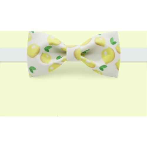Free shipping 2019 new fashion mens male MAN Original brand handmade printed bow tie banquet party groom dress lemon unique