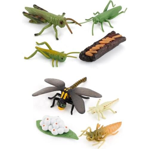 XPFigures Insect Figures
