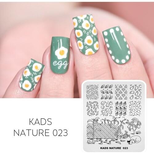 Lemon ice cream watermelon Design Nail Art Stamping Plate DIY Image Manicure Templates Stencils stamp stamping