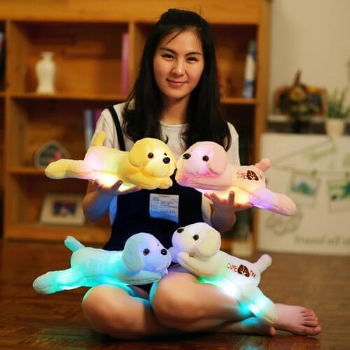 Lintunba Glowing Toys