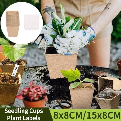 Pulp Square Seedlings Cups And Plant Labels Nursery Tray Planting Tools Markers Kit For Garden Peat Vegetable Nursery Pots