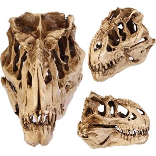 Special Resin Dinosaur Skull Attractive Fossil Teaching Skeleton Model Halloween Festival Decor Figurines & Miniatures 2021