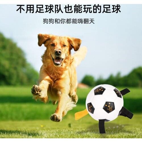 New Pet Supplies Dog Ball Toy Dog Outdoor Training Interactive Rope Football Dog Toy Ball