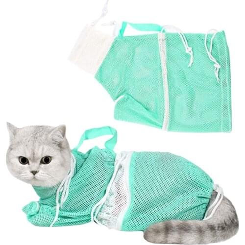 Bloomtimes Products For Cats