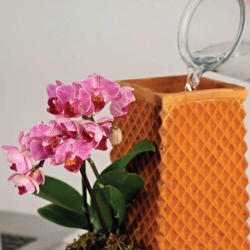 Soiley Ceramic Flower Vases