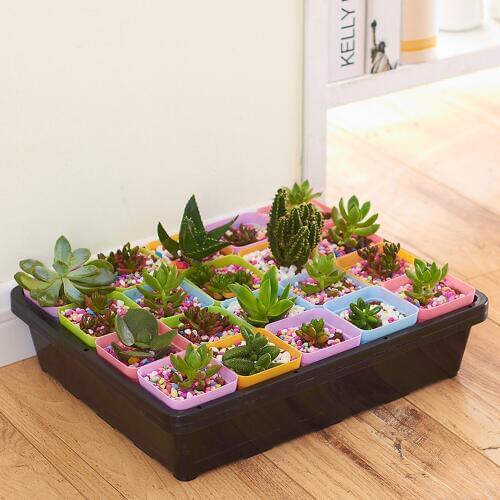 Behogar Seedling Pots