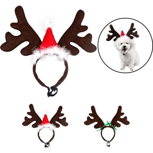 Dog Accessories Legendog China