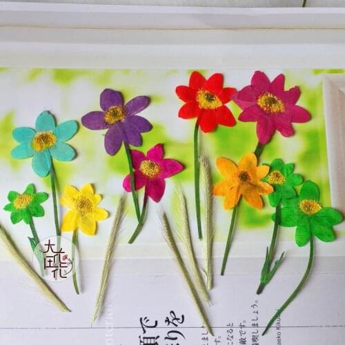 120pcs Pressed Dried Flowers With Stalks Flower Plant Herbarium For Jewelry Postcard Invitation Card DIY Making Accessories