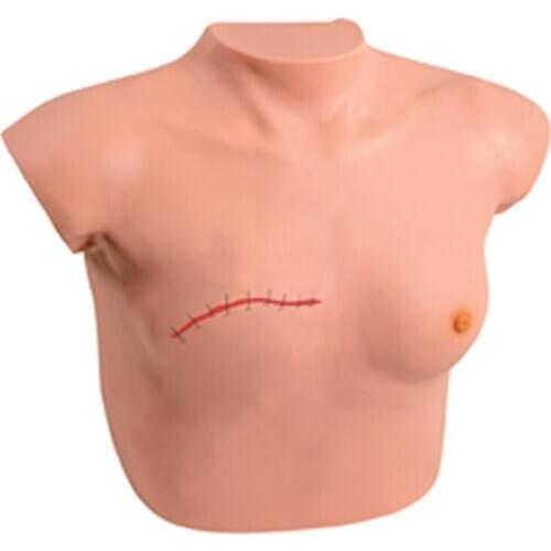 Breast Examination and Mammectomy Postoperative Care Training Practice Model
