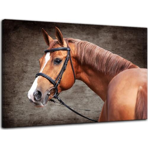 Horse Wall Art of Animal Prints on Canvas Black and White Pictures for Living Room Decor Wall Artwork HD Prints Drop shipping