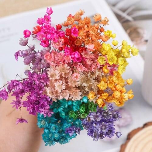 30Pcs Beautiful Vivid Mini Daisy Small Star Dried Flowers Floral Bouquets Natural Plants DIY Crafts Wedding Supplies Home Decor
