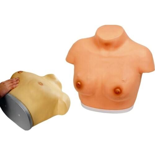 Breast Inspection and Palpation Simulator Mammary Nodule Tumor Examination Model