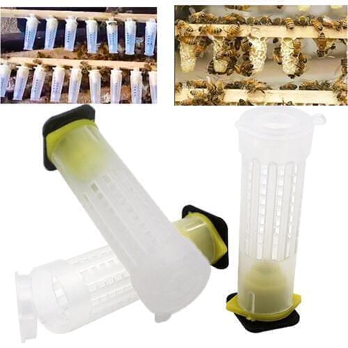 150PCS Professional beekeeping queen cage rearing protective cover catcher plastic bees box cages bees tool supplies wholesale