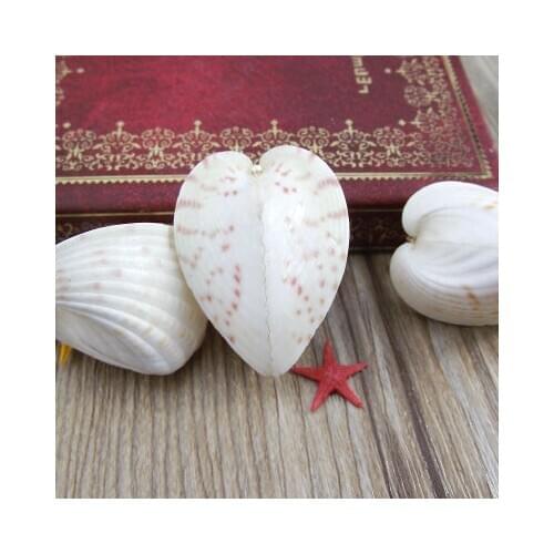 Natural 3D heart-shaped clams chicken heart clams love shell decoration collection conch gift DIY chicken heart shell lovers