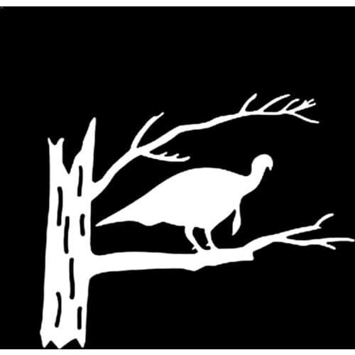 17.1*13.9cm bird For Auto Car/Bumper/Window Vinyl Decal Sticker Decals Decor Cute And Interesting Fashion Sticker Decals