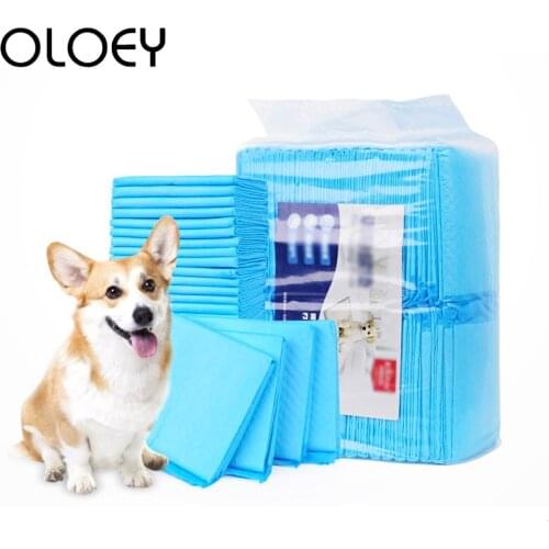 Пеленки и памперсы для животных OLOEY China At AliExpress