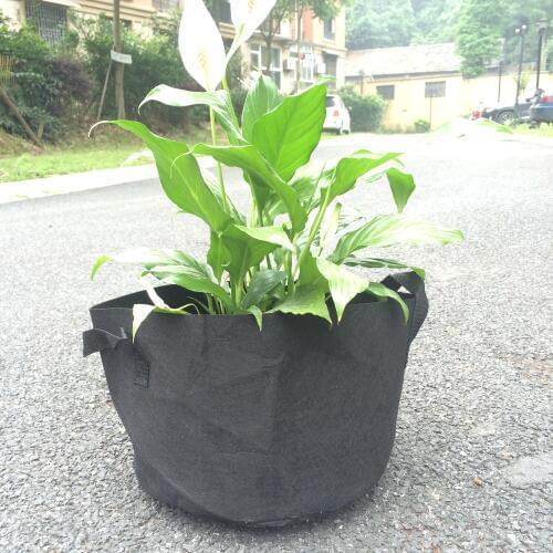10 pcs 3 gallon New Planting Bag/ Plant Pots for Potatoes tomatoes vegetable Balcony plastic plant pots Free Shipping