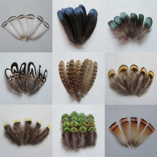 Hot sale all kinds of different pure natural colour and lustre pheasant feather DIY Christmas tree decorations 500 or 200 root