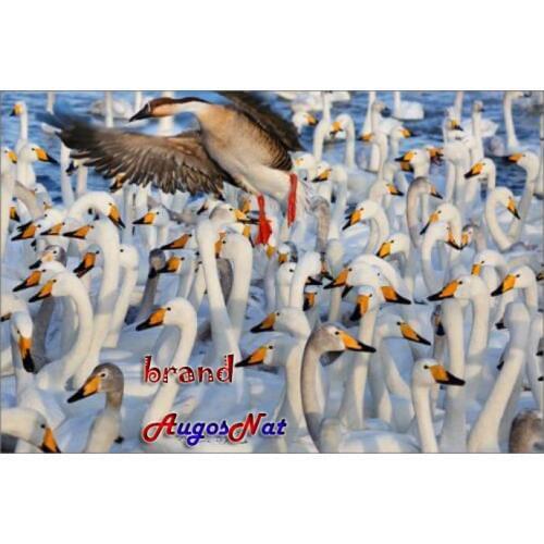 Birds diamond painting white swans rhinestone embroidery full square mosaic decor diamond dots poster wall paper diy craft gift