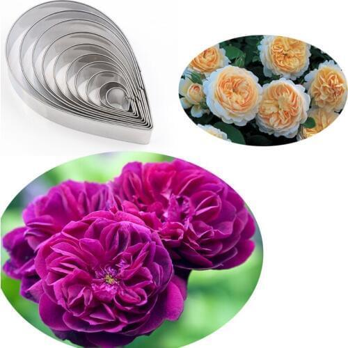 Austin Rose 10Pcs Stainless Stell Cookie Cutter Pastry & Biscuit Baking Cutter Cake Decorating Tools Cupcake Mold Fondant Tools