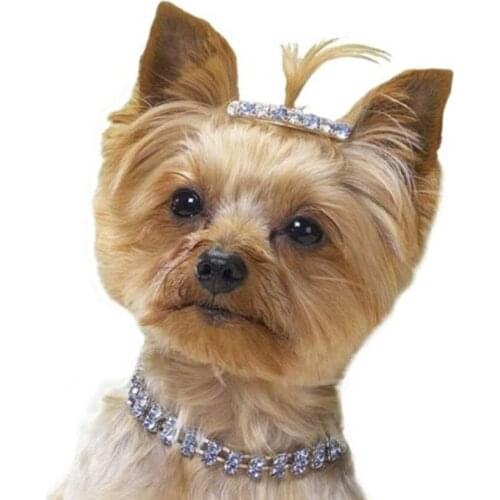 Exquisite Crystal Dog Chocker Collar Diamond Puppy Chihuahua Shiny Full Rhinestone Necklace Collar Collars For Pet Dogs Supplies