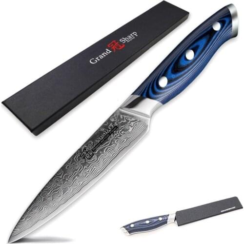 Newest 5 Inch Barbecue Japanese Knife 67 Layers VG10 Damascus Steel Cleaver Utility Handmade Kitchen Knives G10 Handle Gift Box