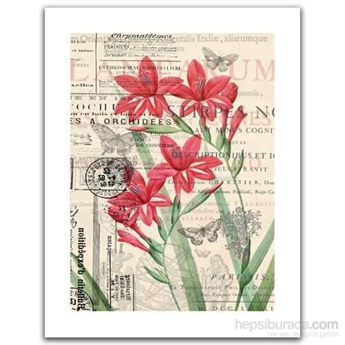 Pintoo Wall Paintings