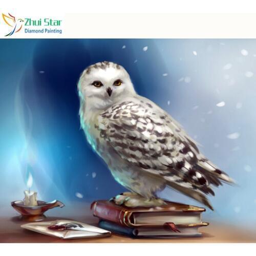 Zhui Star 5D DIY full Square drill Diamond painting Cross stitch Cartoon owl & book Rhinestone embroidery Mosaic Home decor gift