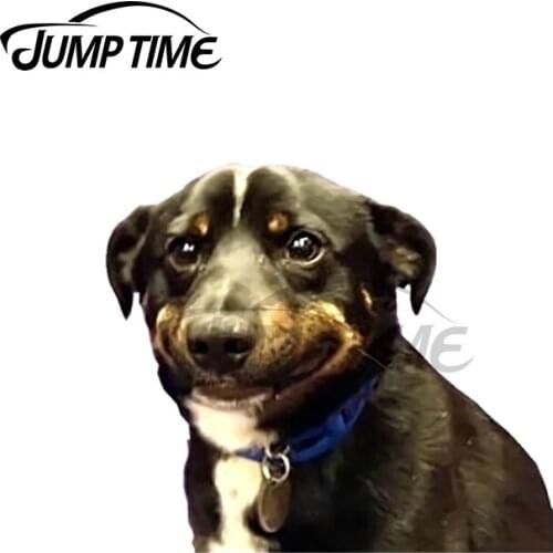 JumpTime 13 x 4.5cm For Smiling Dog Meme Car Assessoires Stickers Bumper Decal Personality Car Door Protector Occlusion Scratch