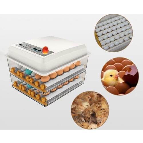 Poultry Hatchery Machine Hatching Eggs 16 Mini Brooder Small Chicken Bird Egg Incubator Hatchers for Quail Parrot Duck Pigeon