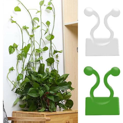 10pcs Set Plant Climbing Clips Vines Fixture Wall Fixing Clamp Sticky Hook Support Plants Vegetable Gardens Protection Tools