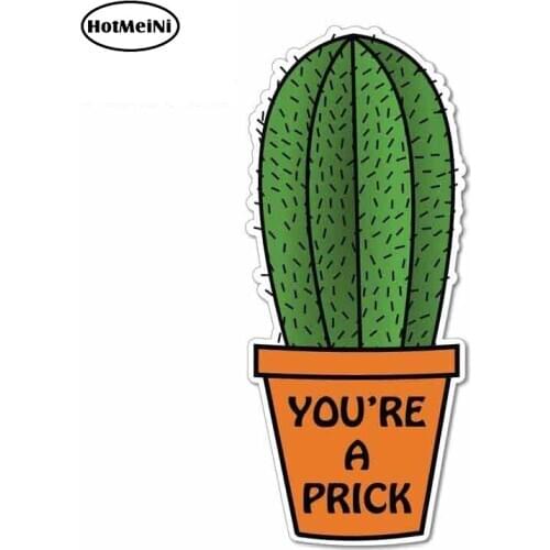 HotMeiNi 13cm x 5.5cm for Cactus Plant Youre A Prck Sign Oem Car Stickers Vinyl JDM RV VAN 3D DIY Fine Decal Car Accessories