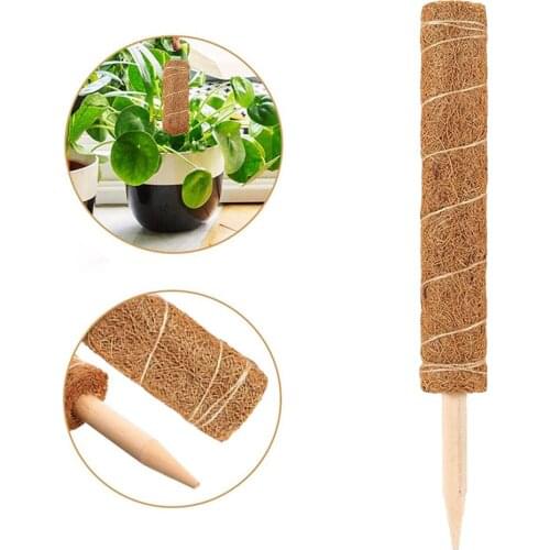 Natural Plant Support Coir Moss Totem Pole Coir Moss Stick For Creepers Plant Support Extension Climbing Indoor Garden Plants
